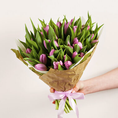 Precious Lavender Tulips